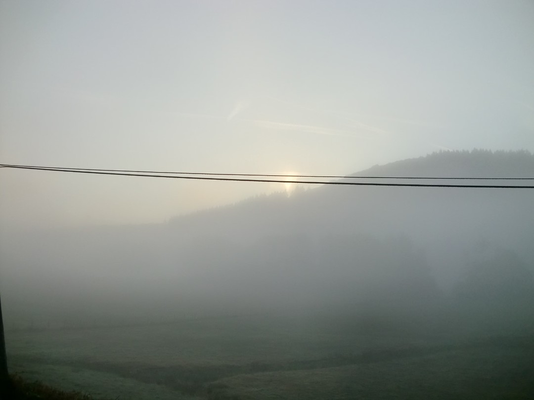 zon1