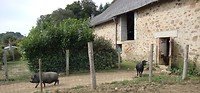 DSC03033