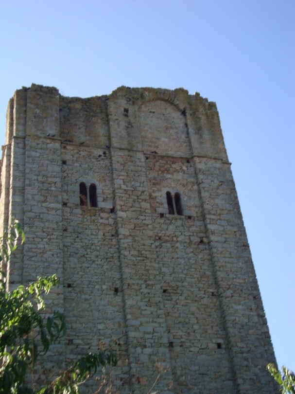 DSC03043