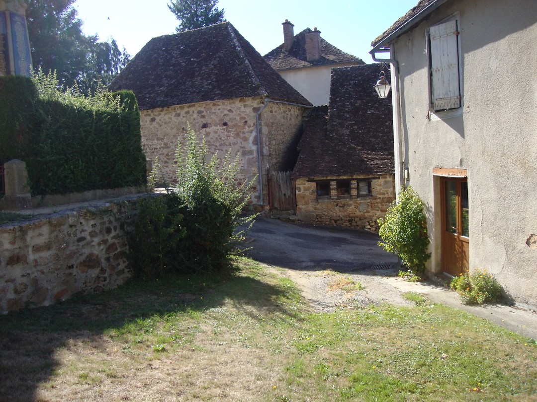 DSC03049