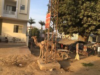 onderweg naar Ranthambore