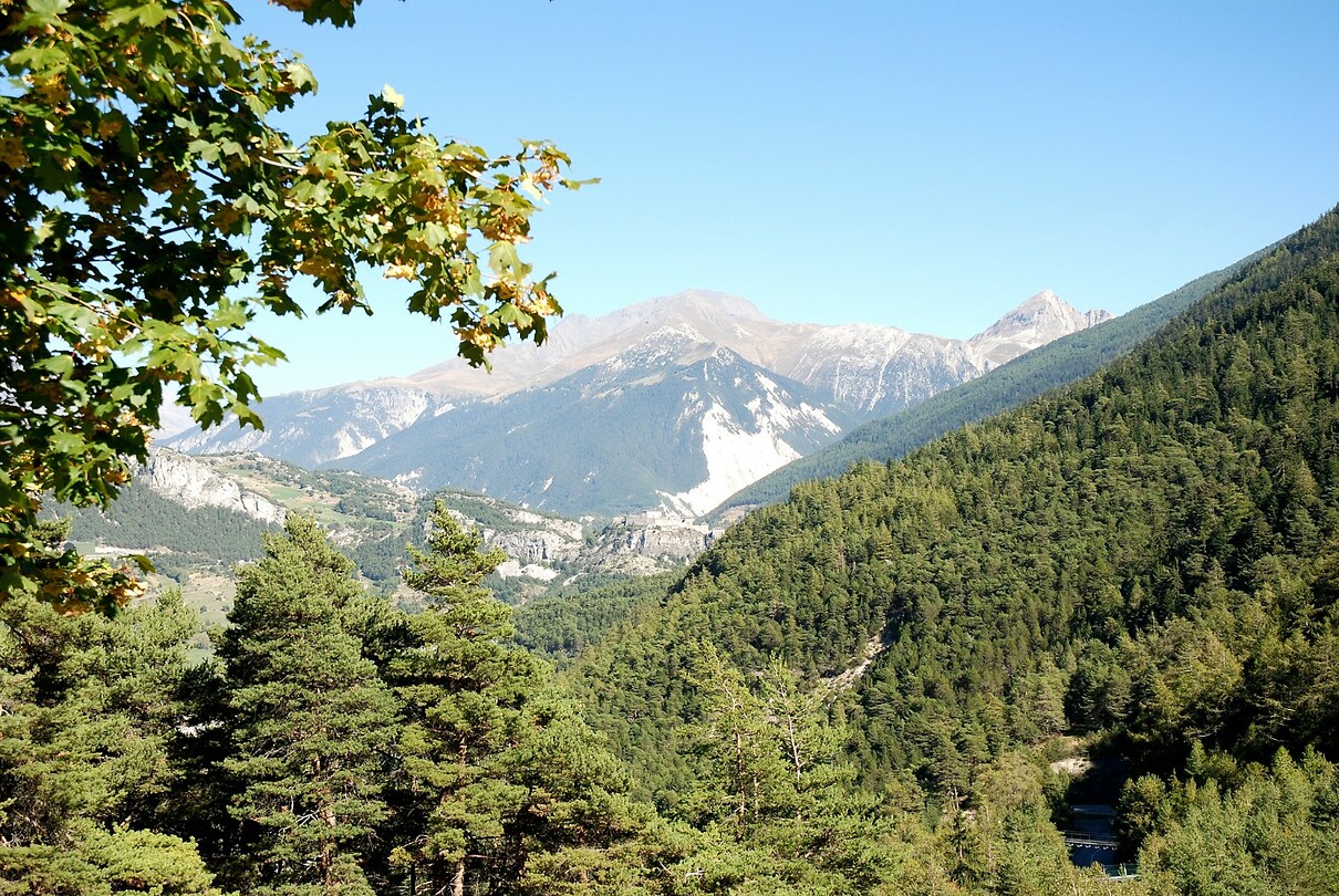 La Norma
