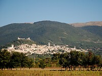 Assisi
