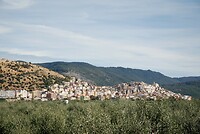 Ischitella