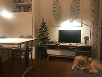 tijdelijk huis