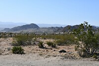 Op de grens van Arizona
