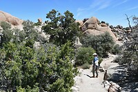 Skull Rock Trail 5