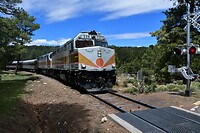 Grand Canyon Train