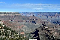 Eagle boven de Canyon