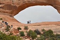 Wilson Arch