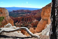 Swamp Canyon