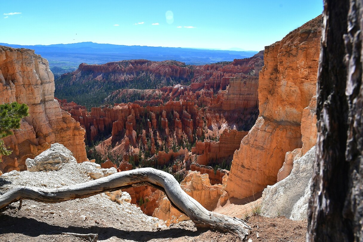 Swamp Canyon