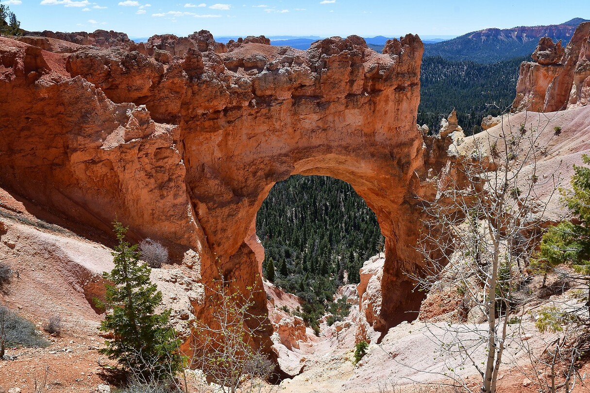 Natural Bridge