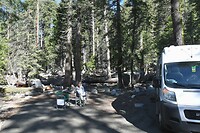 Campground Sequoia