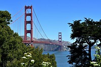 Golden Gate 1