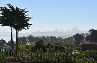 Skyline downtown SF