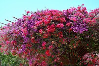 Bloemenzee
