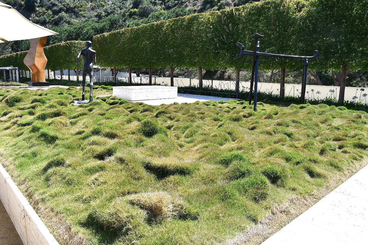 Echte Pollen