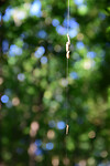 DSC_4978