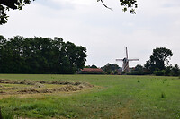 DSC_7181