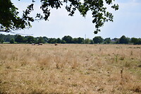 DSC_7129