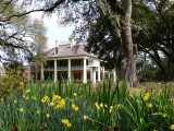 Houmas House