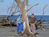 Hunting island dode bomenstrand