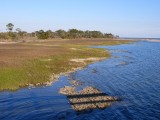 de marsh
