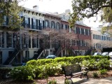 Savannah