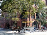 Savannah