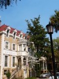 Savannah