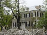 Savannah