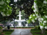De beroemde fontein Forsyth park Savannah