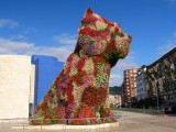 Bloemenhond Guggenheim