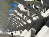 Calatrava's stad