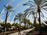 Calatrava's stad