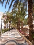 Alicante