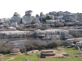 Park Torqal