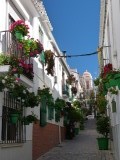Estepona