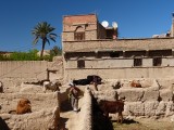 Goulmina