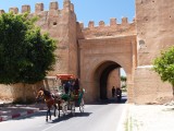 Caleches Taroudant