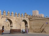 Fes