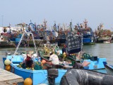 haven Larache