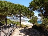 strand