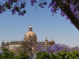Jerez de la Frontera