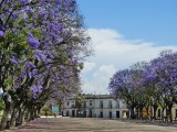 Jerez de la Frontera