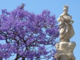 Mariabeeld met jacaranda