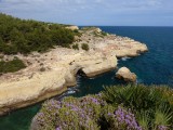 Carvoeira