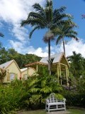 Botanische tuin