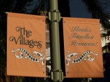 The villages gated community
